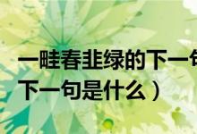 一畦春韭绿的下一句话是什么（一畦春韭绿的下一句是什么）