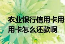 农业银行信用卡用什么还款方式 农业银行信用卡怎么还款啊