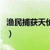 渔民捕获天价神虾（中华锦绣龙虾多少钱一斤）