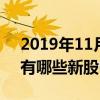 2019年11月5日新股申购一览表（11月5日有哪些新股申购）