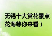 无锡十大赏花景点（无锡适合赏花的地方美丽花海等你来看）
