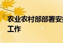 农业农村部部署安排早稻后期田管和“双抢”工作