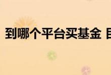 到哪个平台买基金 目前什么软件可以买基金