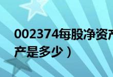 002374每股净资产（丽鹏股份002374净资产是多少）