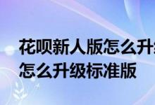花呗新人版怎么升级标准版攻略 花呗新人版怎么升级标准版