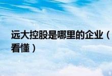 远大控股是哪里的企业（远大控股属于什么行业5分钟教你看懂）