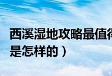 西溪湿地攻略最值得玩的景点（西溪湿地攻略是怎样的）