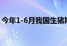 今年1-6月我国生猪期货总成交额1.05万亿元