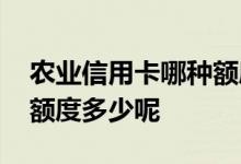 农业信用卡哪种额度比较高 农业信用卡最低额度多少呢