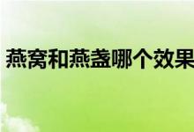 燕窝和燕盏哪个效果好（燕窝和燕盏的区别）