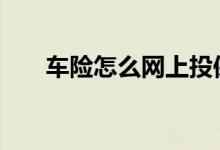 车险怎么网上投保 车险怎样在线投保