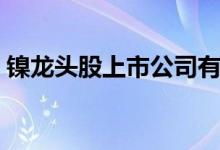 镍龙头股上市公司有哪些（谁是隐形的王者）