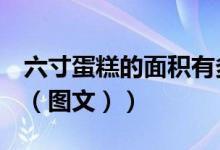 六寸蛋糕的面积有多大（6寸蛋糕有多大面积（图文））