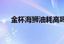  金杯海狮油耗高吗真实车主是这样说的 