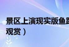 景区上演现实版鱼跃龙门（引起大批游客前往观赏）
