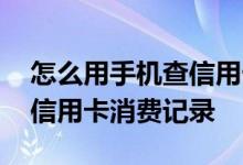 怎么用手机查信用卡消费记录 手机上怎么查信用卡消费记录