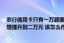 农行信用卡只有一万额度怎么提升 额度一万的农行信用卡 想提升到二万元 该怎么作