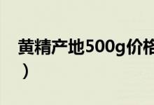 黄精产地500g价格（黄精的最佳产地是哪里）