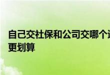 自己交社保和公司交哪个退休金多 自己交社保和公司交哪个更划算