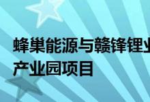蜂巢能源与赣锋锂业在上饶规划锂电全链生态产业园项目