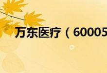 万东医疗（600055）股票机构持仓情况