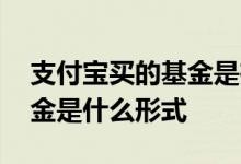 支付宝买的基金是在哪个平台 支付宝买的基金是什么形式