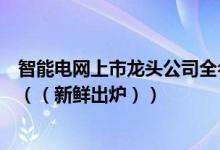 智能电网上市龙头公司全名单揭晓！智能电网概念股有哪些（（新鲜出炉））