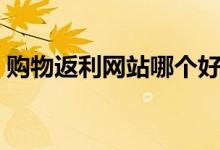 购物返利网站哪个好（淘宝返利网是真的吗）