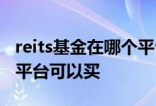 reits基金在哪个平台可以买 reits基金在哪个平台可以买