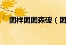 图样图图森破（图森图样破是什么意思）