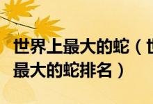 世界上最大的蛇（世界体形最大的十类蛇全球最大的蛇排名）