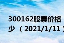 300162股票价格（300162股票价格今天多少 （2021/1/11））