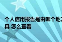 个人信用报告是由哪个地方出具的 个人信用报告是由哪里出具 怎么查看