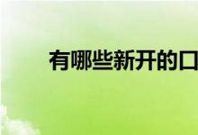 有哪些新开的口子（秒下款的口子）
