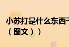 小苏打是什么东西干什么用的（小苏打是什么（图文））