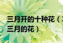 三月开的十种花（3月份开的花有哪些花期在三月的花）