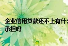 企业信用贷款还不上有什么后果 企业信用贷还不上贷款人要承担吗