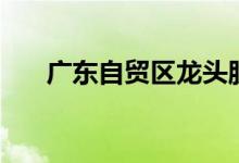 广东自贸区龙头股有哪些（来收藏！）