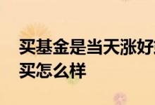 买基金是当天涨好或是跌好 基金当天涨当天买怎么样
