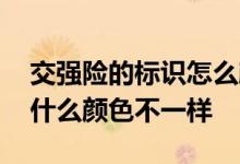 交强险的标识怎么颜色不一样 交强险标志为什么颜色不一样
