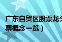 广东自贸区股票龙头股有哪些（广东自贸区股票概念一览）