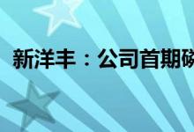 新洋丰：公司首期磷酸铁项目已经顺利投产