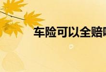车险可以全赔吗 车险一般全赔么