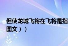 但使龙城飞将在飞将是指的谁（但使龙城飞将在指的是谁（图文））