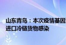 山东青岛：本次疫情基因测序结果显示系接触有病毒污染的进口冷链货物感染