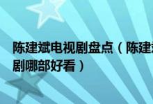 陈建斌电视剧盘点（陈建斌电视剧大全集陈建斌主演的电视剧哪部好看）