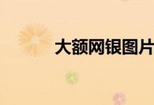 大额网银图片（大额网贷口子）