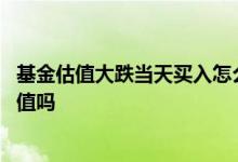 基金估值大跌当天买入怎么算 新基金封闭期内能每天看到估值吗