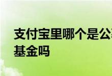 支付宝里哪个是公募基金 支付宝上的是公募基金吗