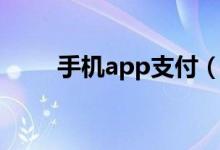 手机app支付（手机app制作方法）